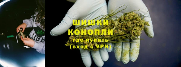прущие грибы Аркадак