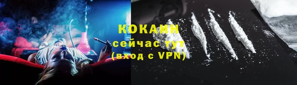 прущие грибы Аркадак