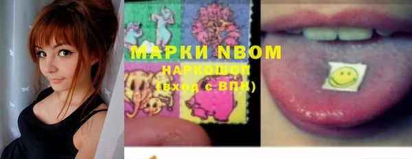 прущие грибы Аркадак