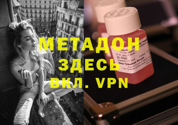 прущие грибы Аркадак