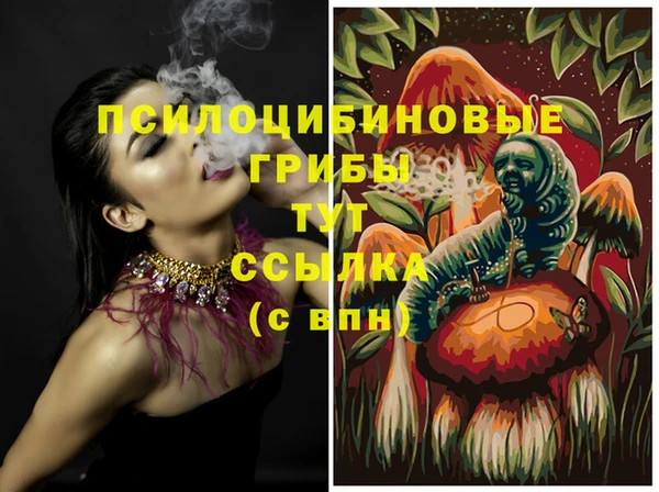 прущие грибы Аркадак